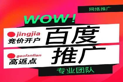 SEM竞价代运营公司成功案例解析